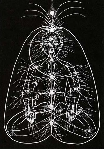 fisiologia energetica